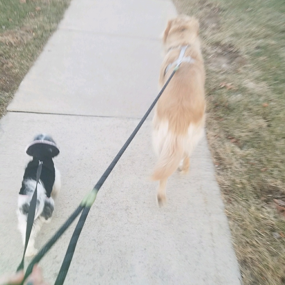 Meet your Posher, Alisha